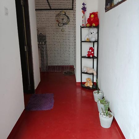 נוארה אליה Aloka Home Stay מראה חיצוני תמונה