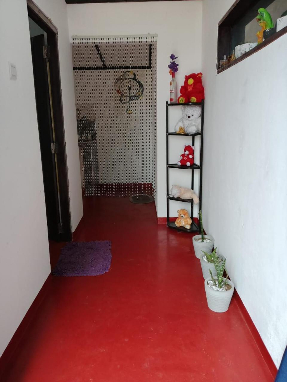 נוארה אליה Aloka Home Stay מראה חיצוני תמונה